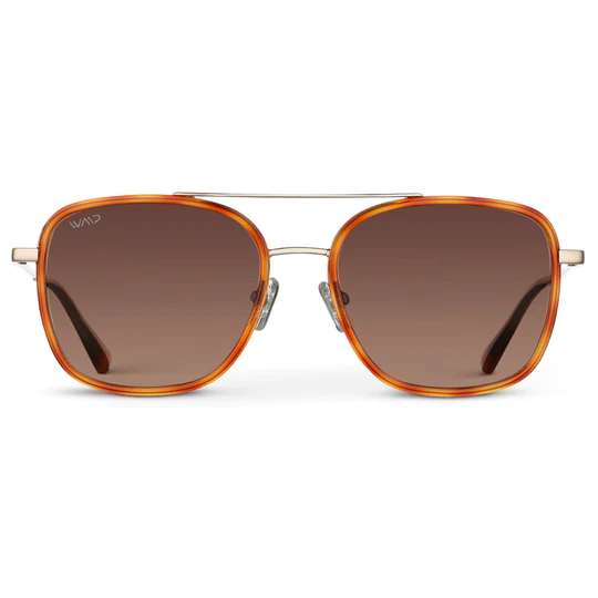 Gia Polarized Sunnies