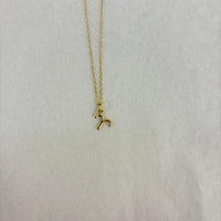 Zodiac Charm 18K Gold Plated Necklace