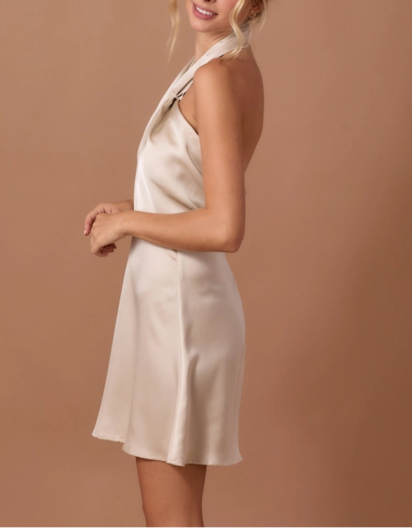 Brynn Mini Dress