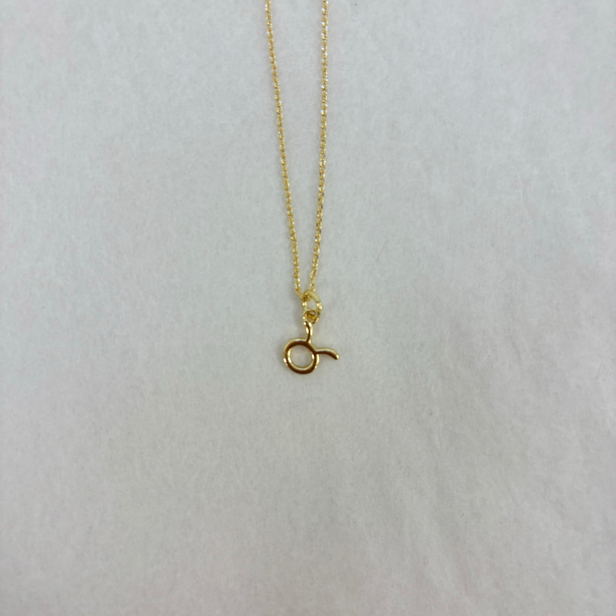 Zodiac Charm 18K Gold Plated Necklace