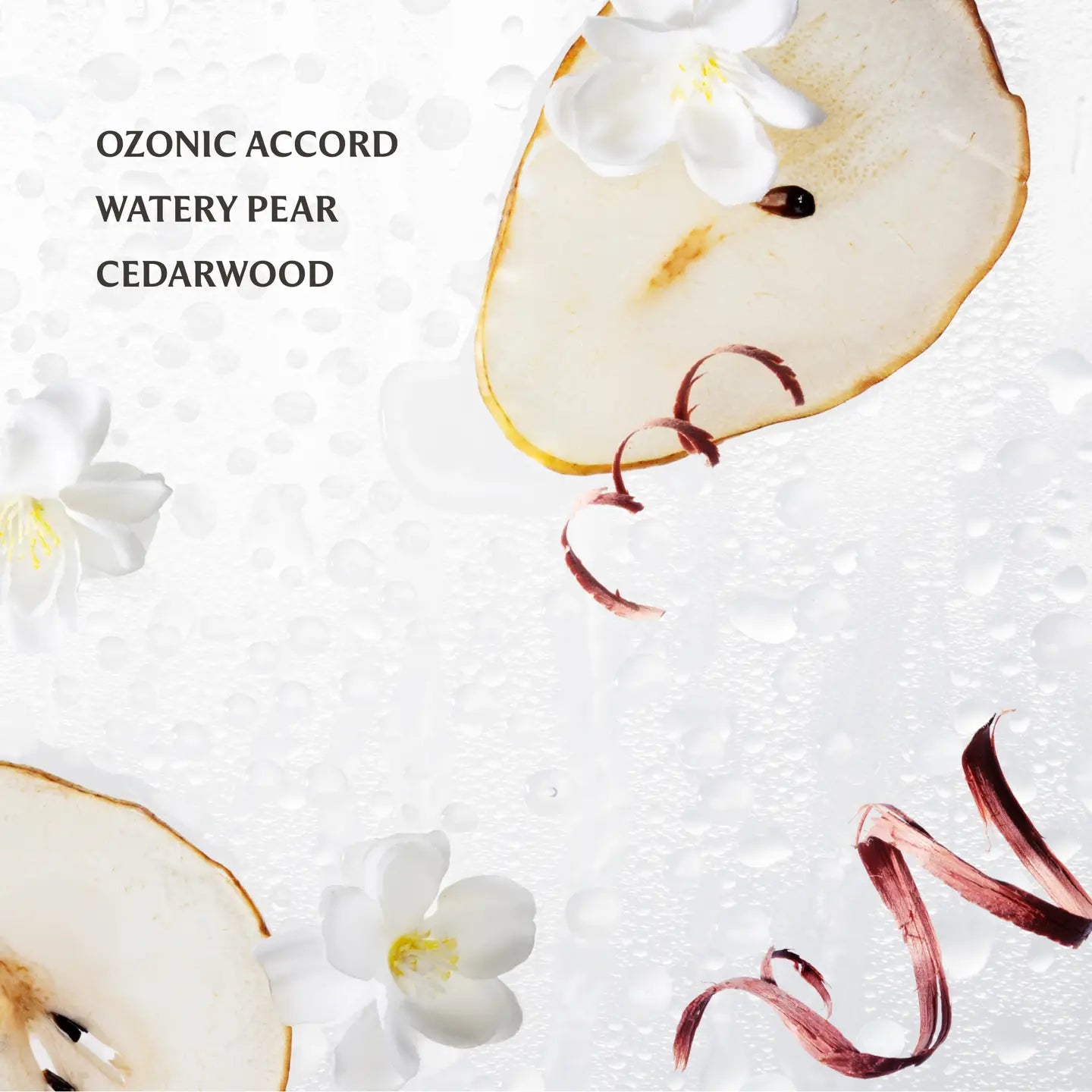 Power Mist Rainwater