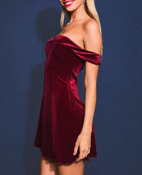 Chloe Velvet Dress