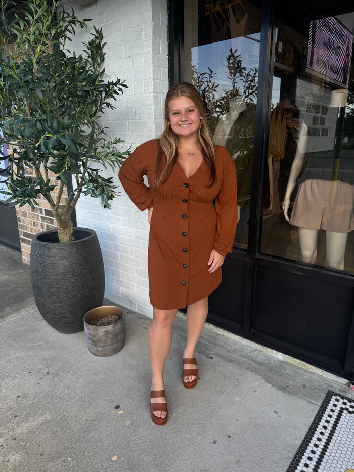 Addie Button Dress