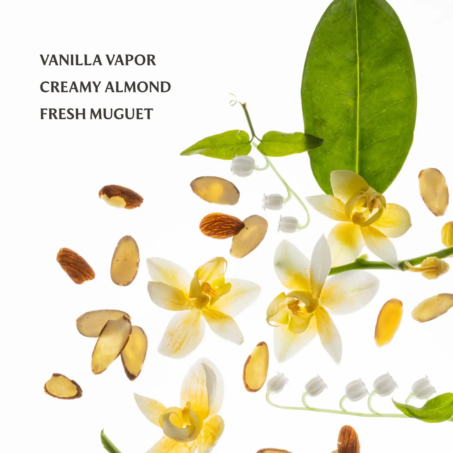 Body & Hair Fragrance Mist Vanilla Velvet