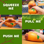 Capybara Squishy