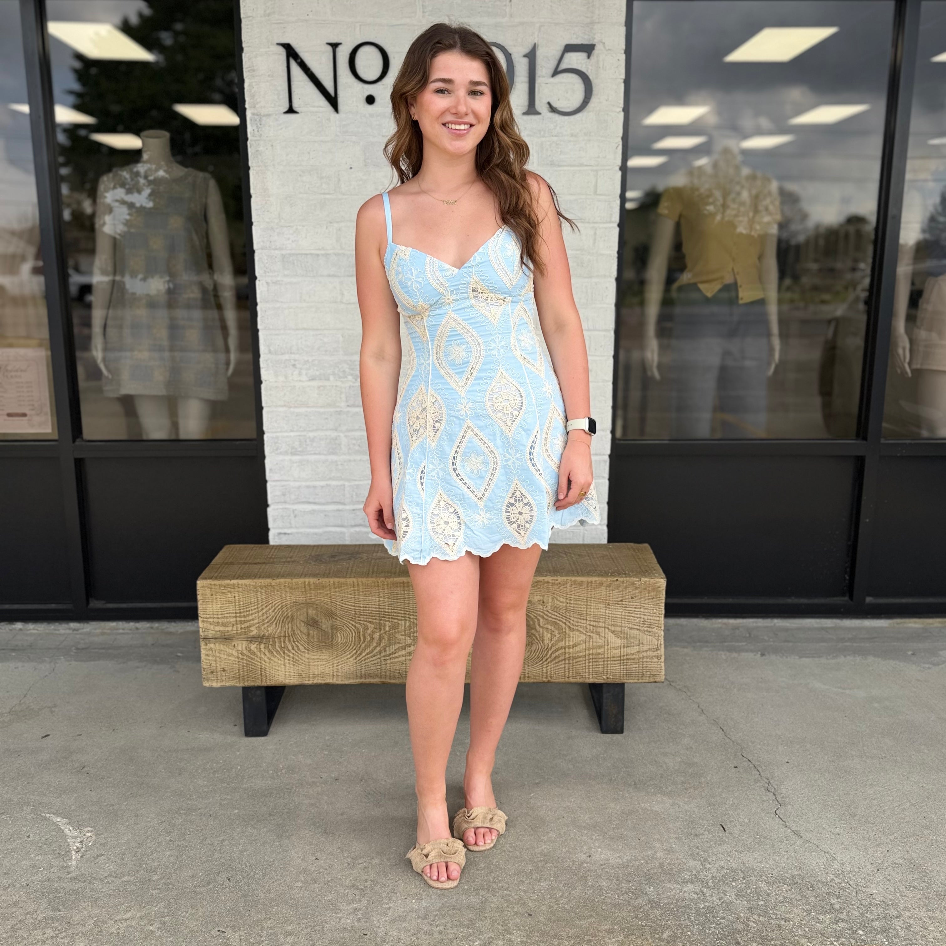 Heirloom Lace Mini Dress