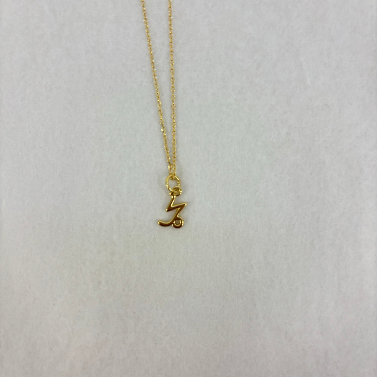 Zodiac Charm 18K Gold Plated Necklace