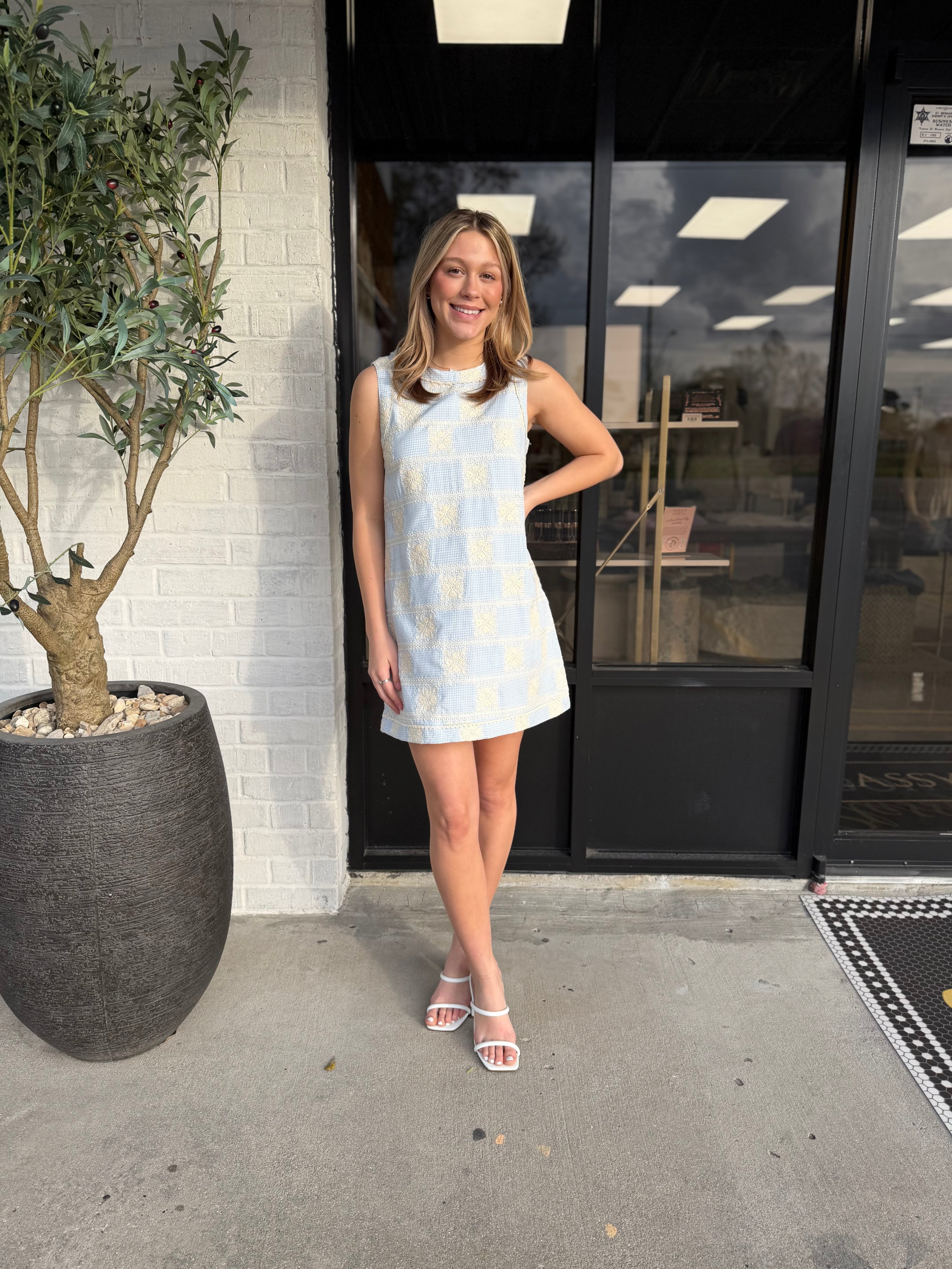 Spring Daydream Dress