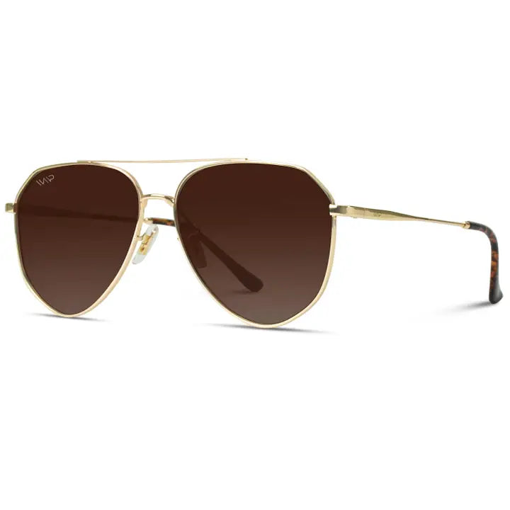 Ramsey Polarized Aviators Sunnies