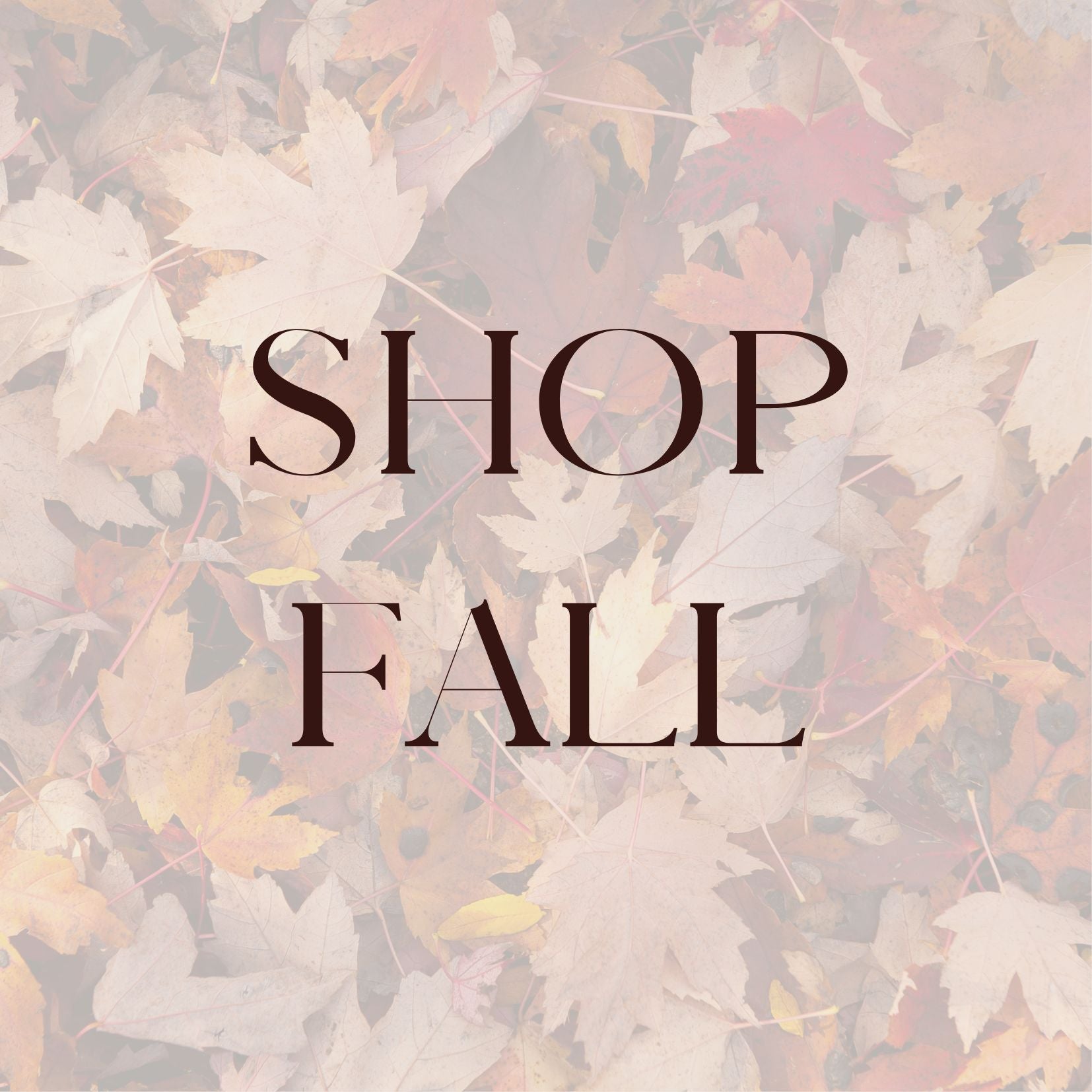 shop_fall_edit.jpg